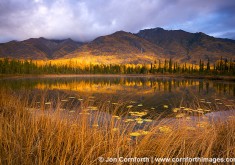 Wrangell-St Elias National Park
