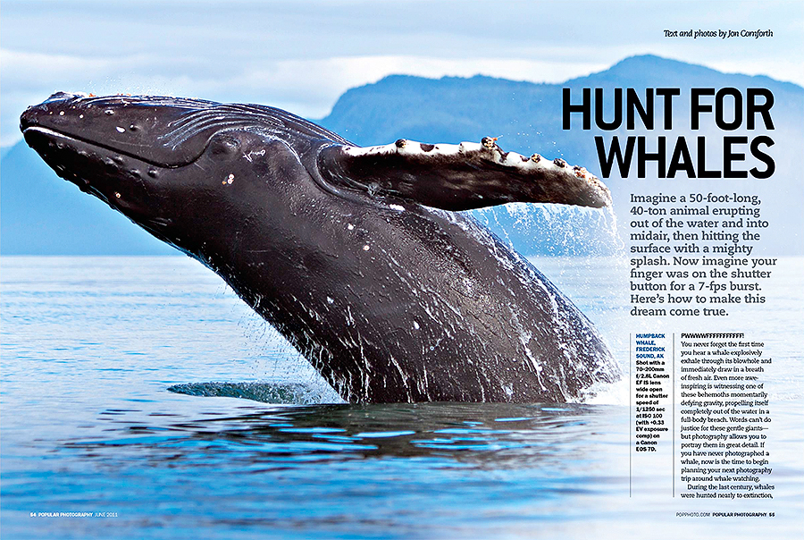 Popular Photography June 2011 Whale Article