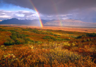 Denali Tundra Rainbow 1