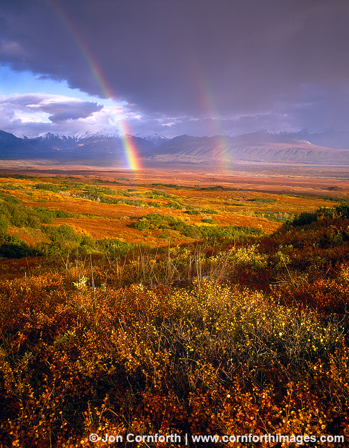 Denali Tundra Rainbow 2