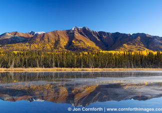 Fireweed Mt Reflection 3