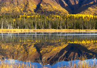 Fireweed Mt Reflection 4