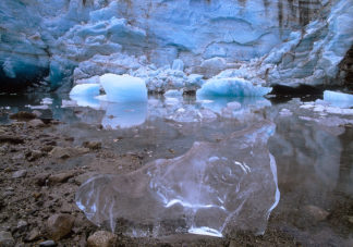 Lamplugh Glacier Ice 1