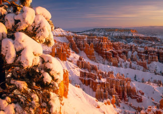 Bryce Snow Sunrise 1