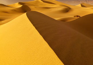 Mesquite Sand Dunes Sunset 2