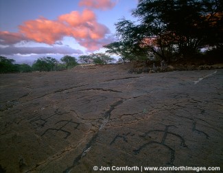 Puako Petroglyphs