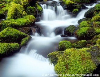 Sol Duc Stream