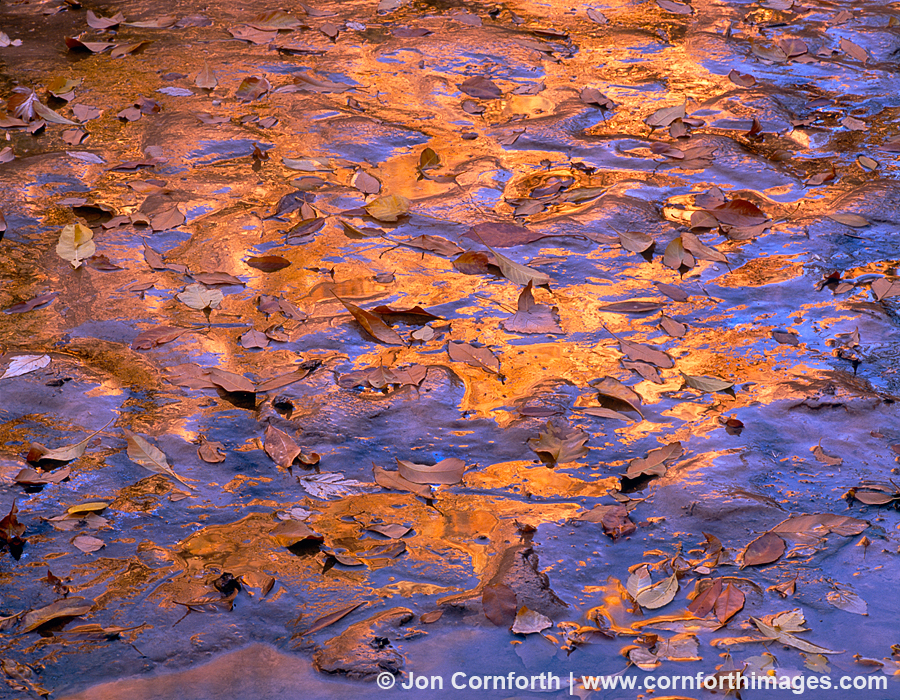 Virgin River Mud Reflection