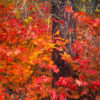 Wenatchee Fall Colors 4