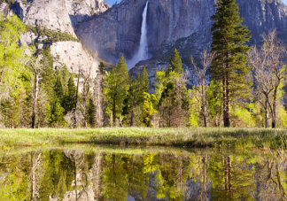Yosemite Falls Reflection 2
