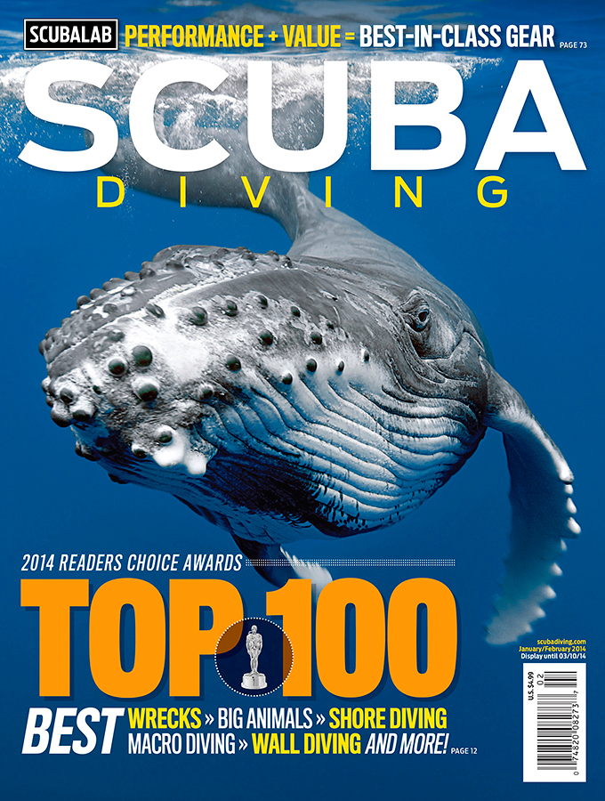 Scuba Diving January 2014 Cover