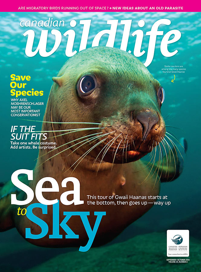 Canadian Wildlife September 2014 Cover