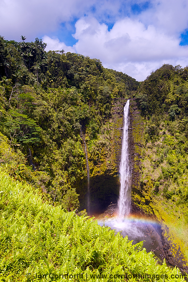 Akaka Falls Rainbow 5