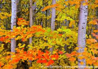 Wenatchee Fall Colors 7