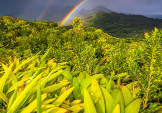 Hanalei Ridge Sunrise Rainbow 3