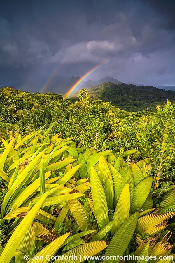 Hanalei Ridge Sunrise Rainbow 3