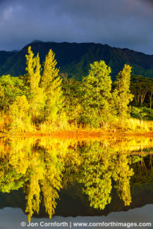 Wailua Reservoir Sunrise Trees 1
