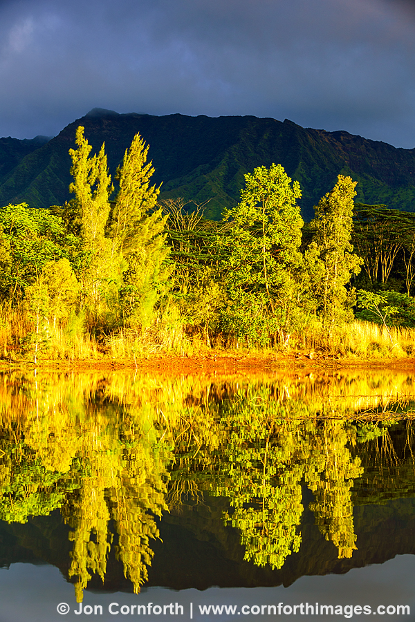 Wailua Reservoir Sunrise Trees 1